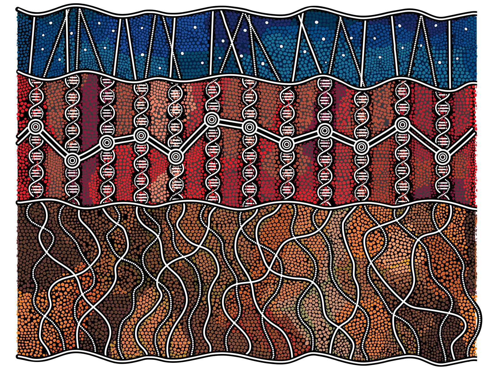 Knowledge that Flows Through Us artwork by David Williams of Gilimbaa, showing genomic pathways connecting Country, community and Sky Country.